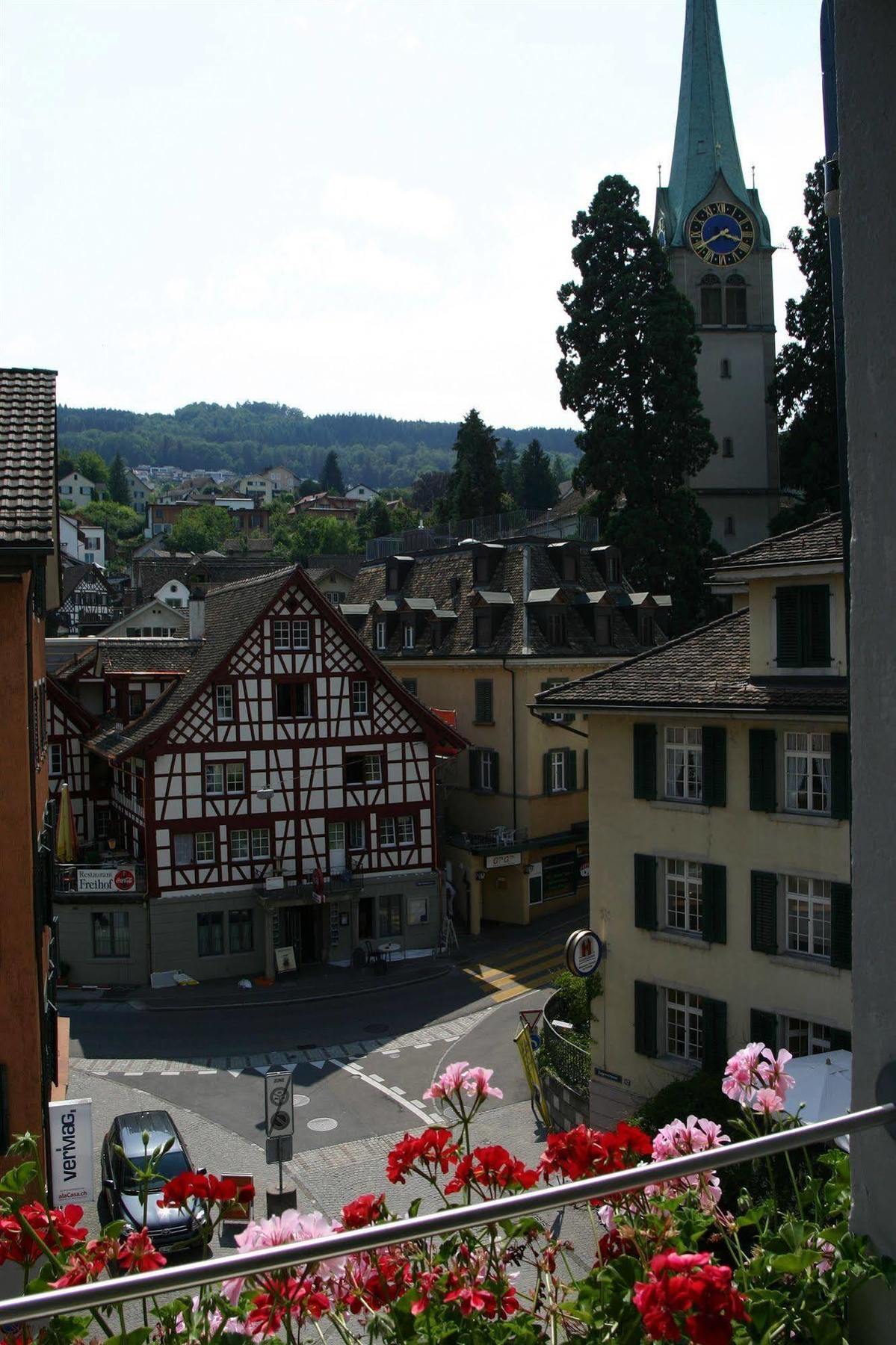 Romantik Hotel Schwan Horgen Exterior foto